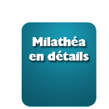 Milathéa en détails