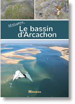 Découvrir le bassin d'Arcachon