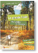 La grande forêt des Landes de Gascogne