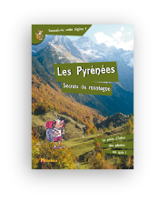 les pyrennees