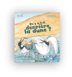 Qu'y a-t-il derrière la dune ?