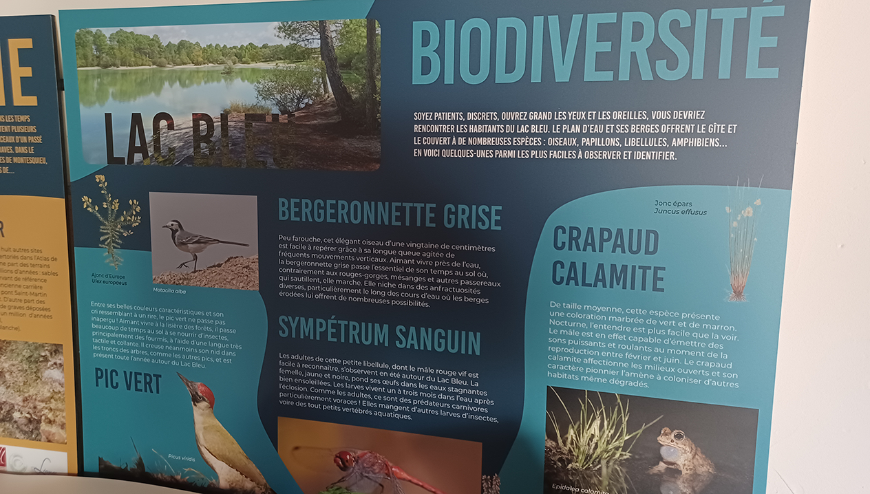 Panneau d’interprétation présentant la biodiversité du lac Bleu