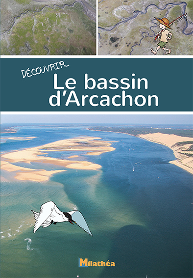 Découvrir le bassin d'Arcachon
