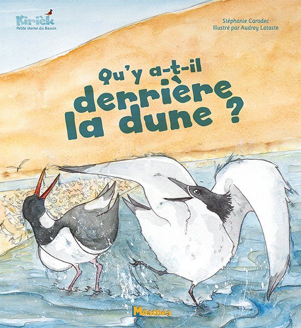 Qu'y a-t-il derrière la dune ?