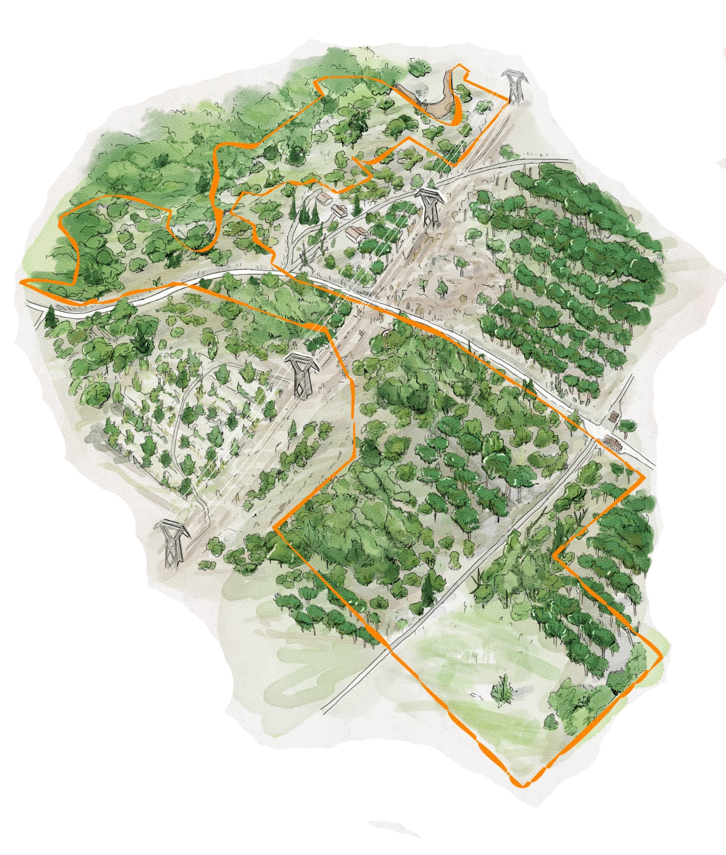 Plan illustré d'une réserve naturelle pour un panneau d'interprétation